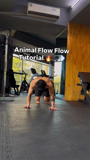 Animal flow tutorial.