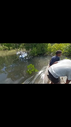 Playful Water Activities in Nature with Kids