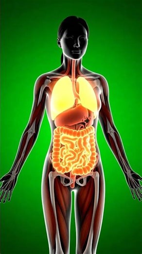 3D Anatomy Drink Milk #3DAnatomy #3DMedicalRender #UltraRealistic3D #hashtags #fyp #reelsfyp