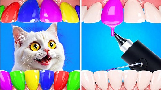 522K views · 4.3K reactions | Live: you won’t believe what my cat just did! 勞 funniest reactions ever! | Meow-some | Facebook