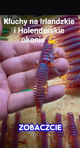 #fishing #spining #okoń #perch #wędkarstwo #pikefishing #zanderfishing #bigfish #dropshot #sandacz