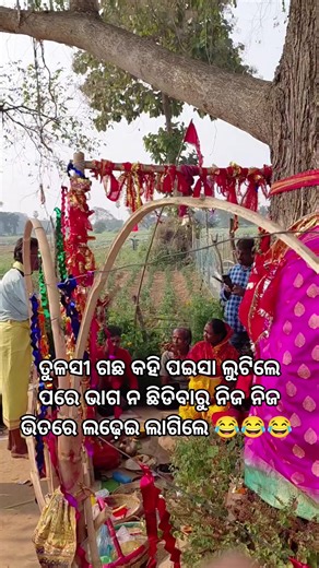 Amrit Prasad Das | #ପଇସା_ଭାଗ_ବଣ୍ଟାକୁ_ନେଇ_ଲଢେଇ ମିଛ ତୁଳସୀ ଗଛ କହି #Viral ହେବା ପରେ ଲୋକଙ୍କ ଭିଡ଼ ଜମିଥିଲା, ପରେ ଦକ୍ଷିଣା ବି ମିଳିଥିଲା, ମିଳିଥିବା ଦକ୍ଷିଣାର ଭାଗ ନ ଛିଡ଼ିବା... | Instagram