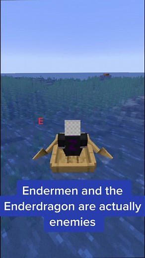 Minecraft Theory: Endermen vs Ender Dragon Explained