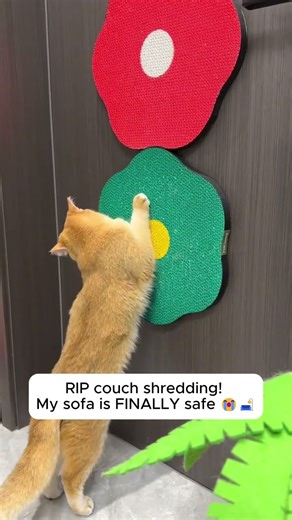 Connect, stack, or spread it out—this modular scratch board adapts to your home and your cat’s mood.