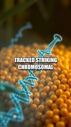 The Jumping Gene Architect Barbara McClintock