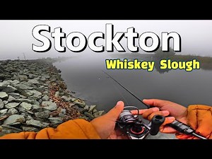 California Delta Bank Fishing