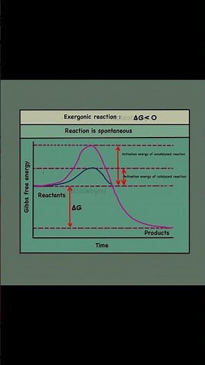 Understanding Gibbs Free Energy| Exergonic Reactions: Reading Energy Graphs Made Easy!