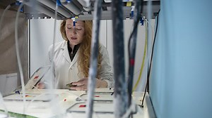 Climate Change Threat to Shellfish | Seafood | Fish Focus