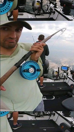 Mooching Reel catches salmon!
