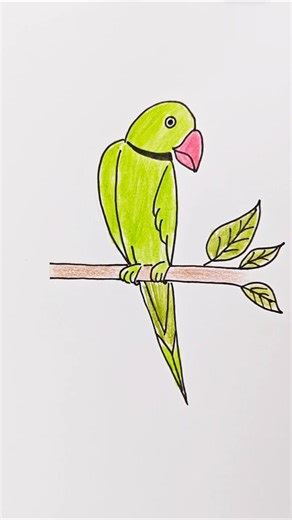 Cute Parrot Drawing 🦜 Easy Art for Beginners | Shorts
