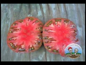 How To Save Tomato Seeds