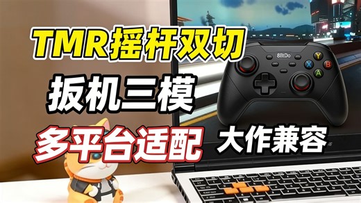 八位堂TMR手柄实测：双模切换+三平台兼容，这摇杆绝了？