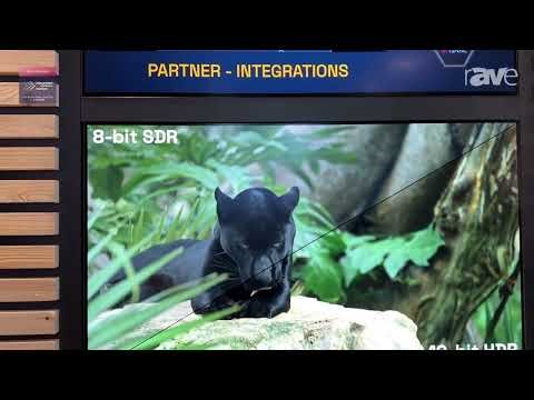 ISE 2026: HIVE Showcases Integration Partners and Beesync Synchronization