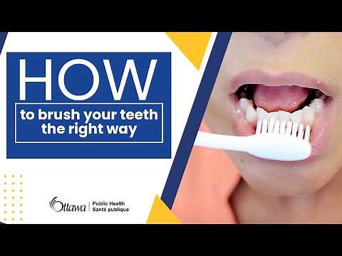 How to Brush Your Teeth