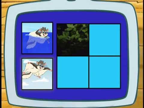 Go, Diego, Go! Flying Squirrel Puzzle