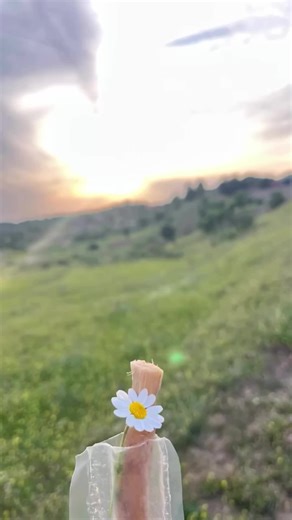 Stay Connected to Prayer Anywhere: A Guide for Muslims