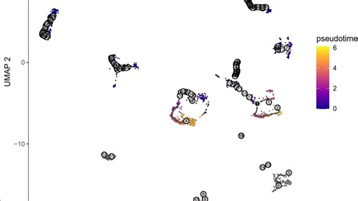 167.单细胞分析，肺癌，替换研究基因，最新伪时序轨迹，一个代码完成包括UMAP、各类分组表达、小提琴图、气泡图、伪时序轨迹图及表达密度分布图等