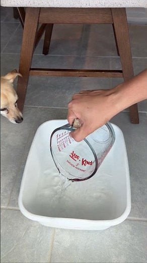 This Simple Foot Soak Changed Everything For Me!