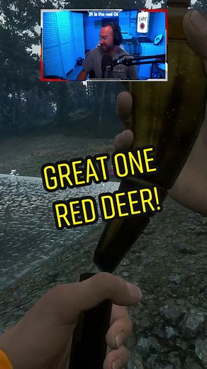 Red Deer Great One down! #thehuntercallofthewild #thehuntercotw #hunting #gaming #reddeer