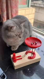 ✨ The “endless” motion illusion you have to see to believe! 🔍 Watch the ball defy gravity, cycle after cycle—*spoiler*: it’s not magic, it’s genius engineering. A hidden battery gives it that “perpetual” push, while cleverly curved wires create the mesmerizing effect. Tag a science nerd and save to blow minds at your next gathering! Who’s questioning reality now? 👇 #cat | Asian Technology