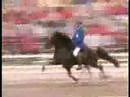 Fast speed racking horse