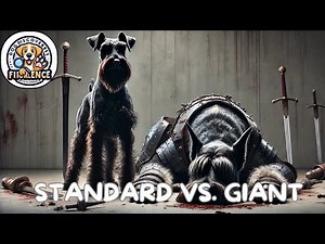 Standard Schnauzer vs. Giant Schnauzer: The Ultimate Battle of Agility and Strength!