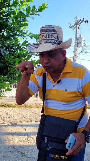 El Nono: Una Historia Dramática y Sorprendente