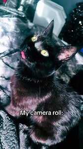 This might be why my camera roll is full..😹 | Hex Hypoxia