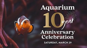 Our team has been reel-y busy preparing for the Aquarium 10-year anniversary celebration on Sat, March 29! 🌊🐠 Get an exclusive look at a shipment of 60 fish from Australia that now calls our Pacific Reef exhibit home. Among the hundreds of new aquatic residents, guests can discover incredible species like Eyestripe tang, Convict tang, Personifer angelfish, Regal angelfish, Lyretail hogfish, Pinktail triggerfish, Humu Picasso triggerfish, Halfmoon triggerfish and Coral grouper. Learn more and p