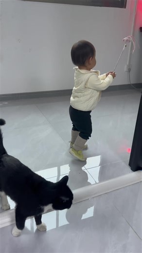 Materialia (@materialia4)’s videos with original sound - Materialia