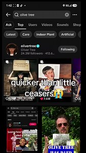 Oliver Tree RIP: What Happened to the Olive Tree?