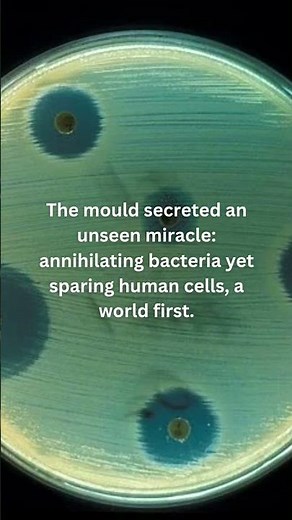 How Penicillin Changed Medicine — The Accidental Discovery (1928) #history #nobelprize