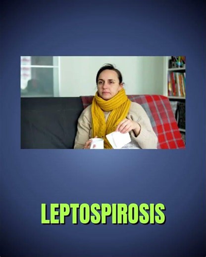Leptospirosis