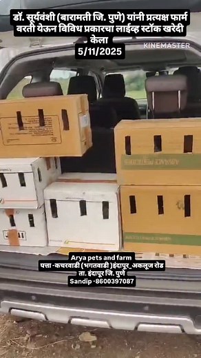 Arya pets & farm Tal -indapur dist -pune Add-kacharwadi(bhagatwadi) 8600397087 🌍 my farm Location 🌍 https://maps.app.goo.gl/TCpj4vWNp11HYHA26?g_st=ac 👉My Instagram id 👈 https://www.instagram.com/arya_pets_and_farm?igsh=YXI3anRoY2k5dmU5 #pune #Mumbai #satara #sangli #kolhapur #aahilyanagar #beed #solapur #latur #nashik #beed #nanded #pets #farm#poultry#exoticpets#farming#petshop#kokan | Sandip Bhorde