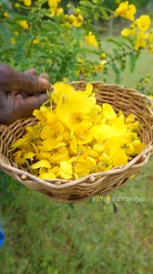 Avaram poo recipe | Village Suger Medecine #health #nature #foodie #How #medical | Village Grandpa Life