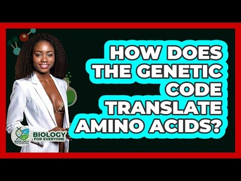 How Does The Genetic Code Translate Amino Acids? - Biology For Everyone