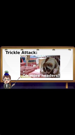 Trickle Attack Denial of Service 😱😱 Slow Loris/Sockstress #ethicalhacking #education #meme