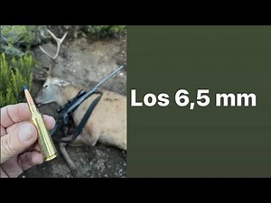 The 6.5 mm calibers