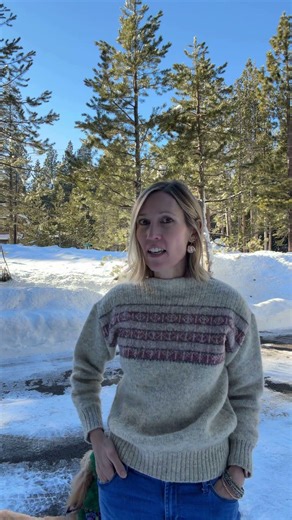 20 Questions: A Fast Guessing Game