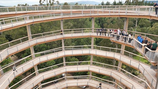 We visited the huge new treetop walk, viewing tower, and slide in Wicklow