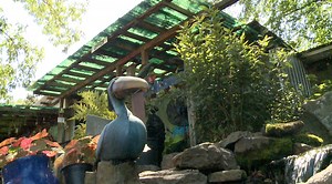 18th annual "Parade of Ponds" raises money for humane society - WBBJ TV