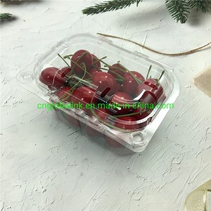 [Hot Item] Disposable Clamshells Fruit Packaging Container Plastic Packaging for 250 Grams