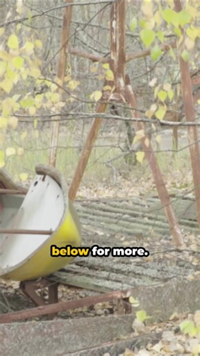 Chernobyl nature thrives decades after the disaster, showing nature's resilence and resurgence