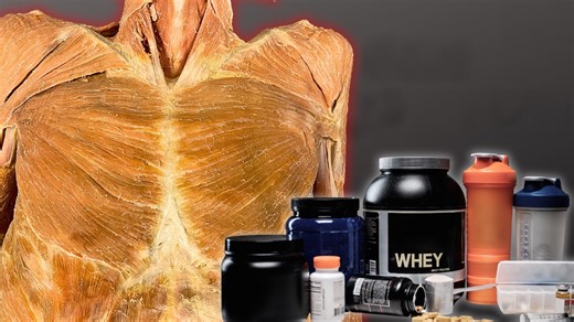 Top supplements to boost performance