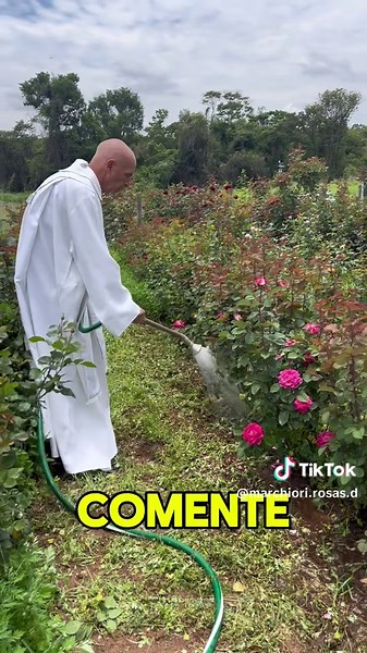 Regas Profundas para Roseiras: Dicas Essenciais