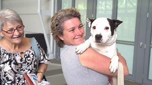 23K views · 412 reactions | The RSPCA Pop Up Adoption event is returning to South Bank!  Join us on Saturday 18 January to help hundreds of dogs, cats, kittens and puppies find their furever home.  Find out more and save time on the day by pre-registering at www.popupadoption.com.au. | Brisbane City Council | Facebook