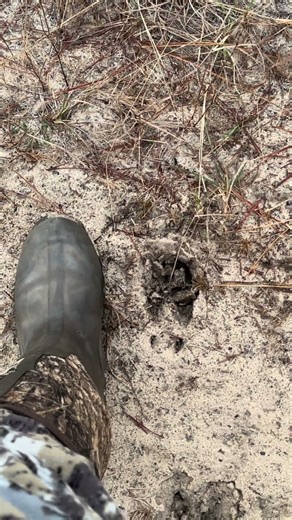 What’s the biggest deer track you’ve seen?? #deerhunting #deerseason #bigbuck #bigbucks #deerseason