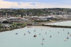 Shark signs value queried