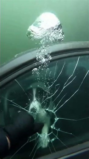 Boy's Dog gets SAVED💔 #animals #animalrescue