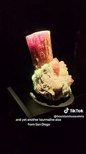 2.1K views · 97 reactions | Houston Museum of Natural Science on Reels | Facebook